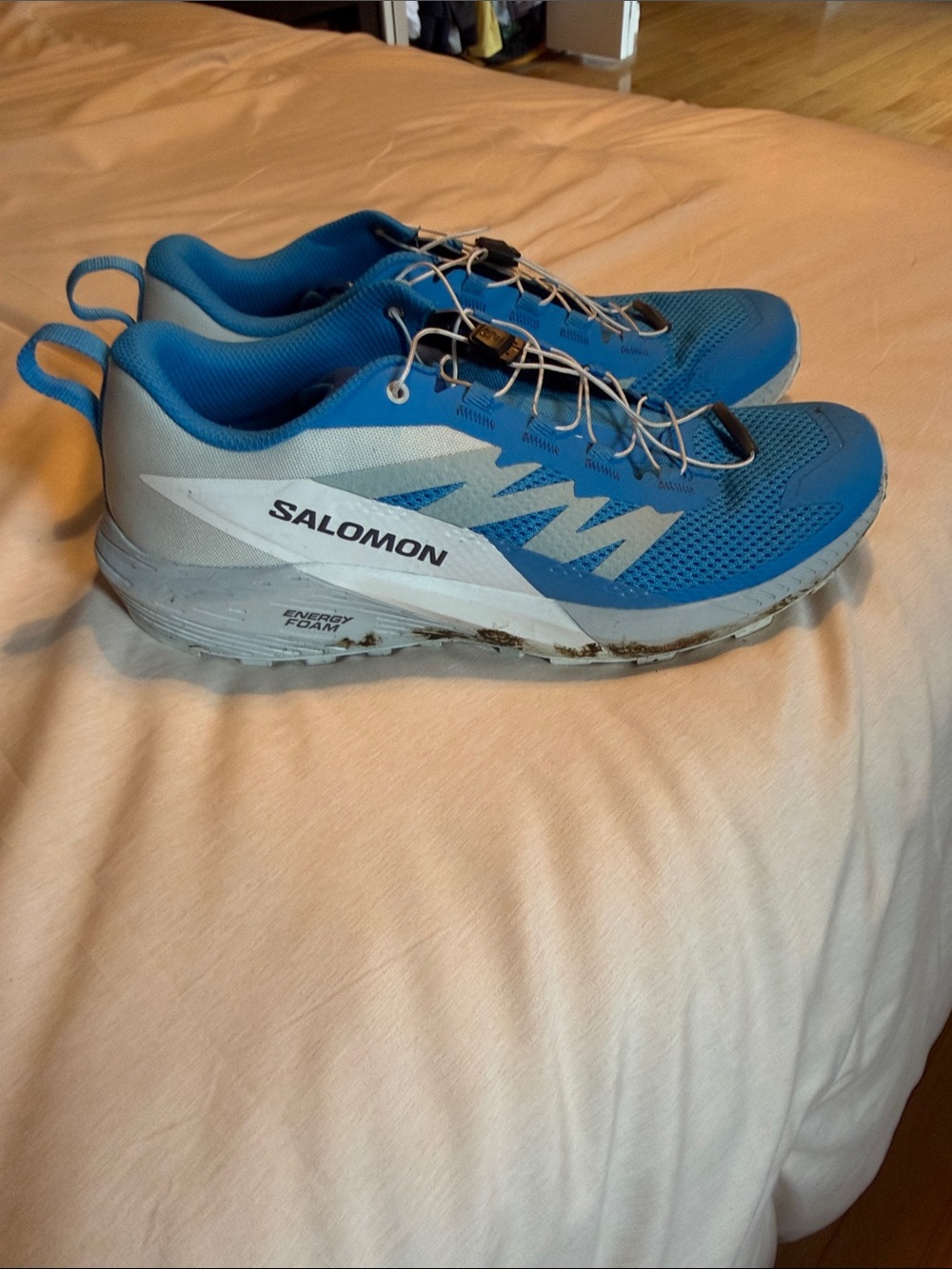 Salomon Sense Ride 5 - Picture 3 of 6